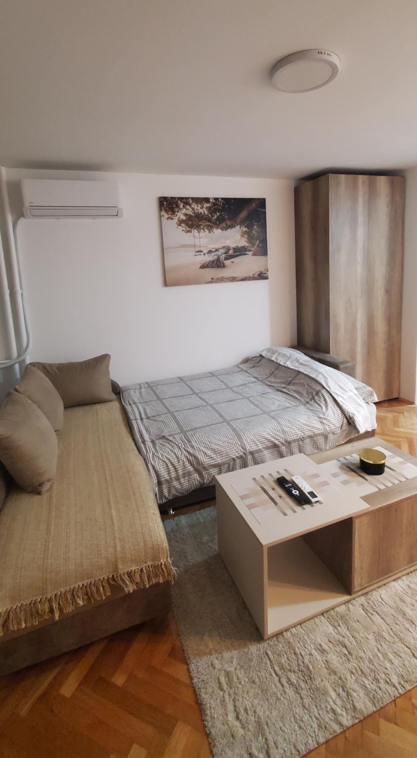 Studio Inn "next to Delta & Free Parking " Apartment in Serbia