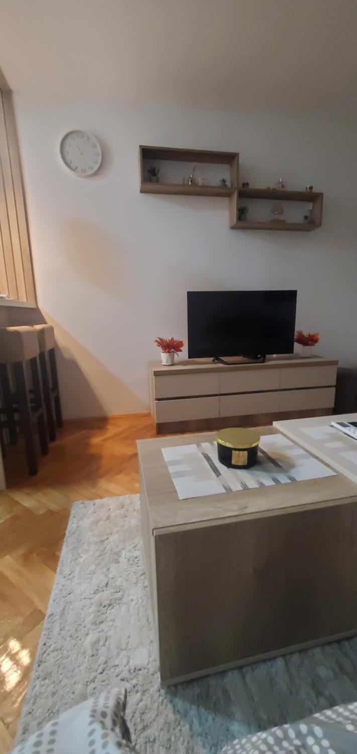 Studio Inn "next to Delta & Free Parking " Apartment in Serbia