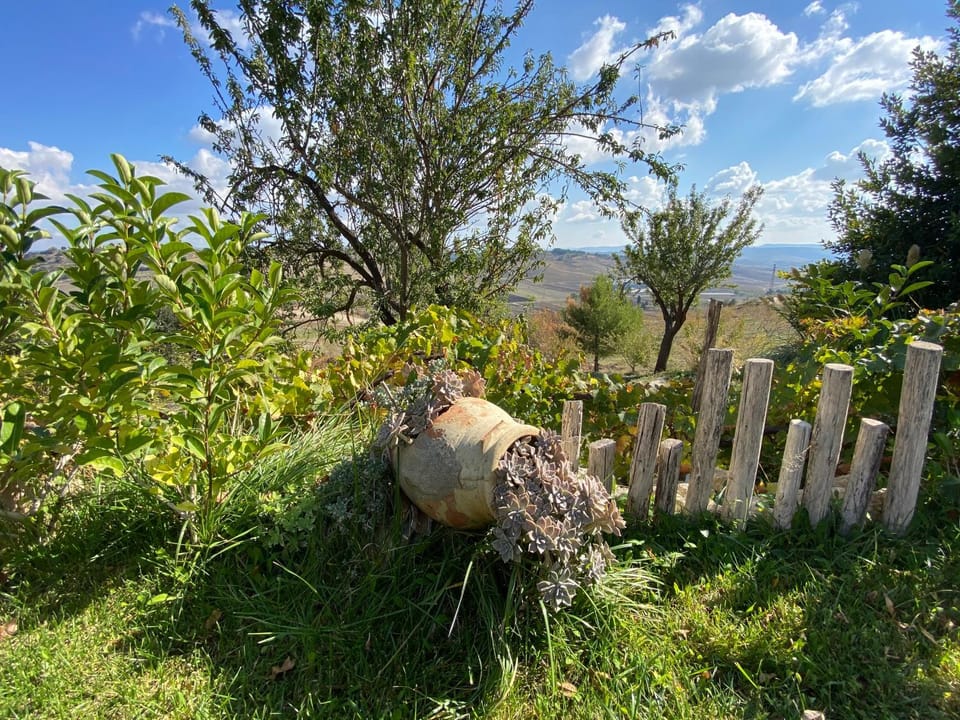 Natural landscape, Garden, Garden view