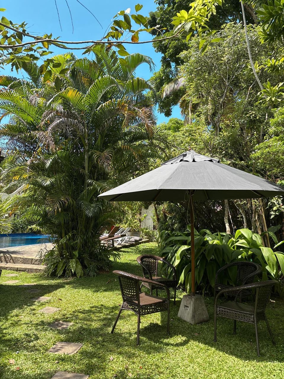 Day, Natural landscape, Garden, Garden view