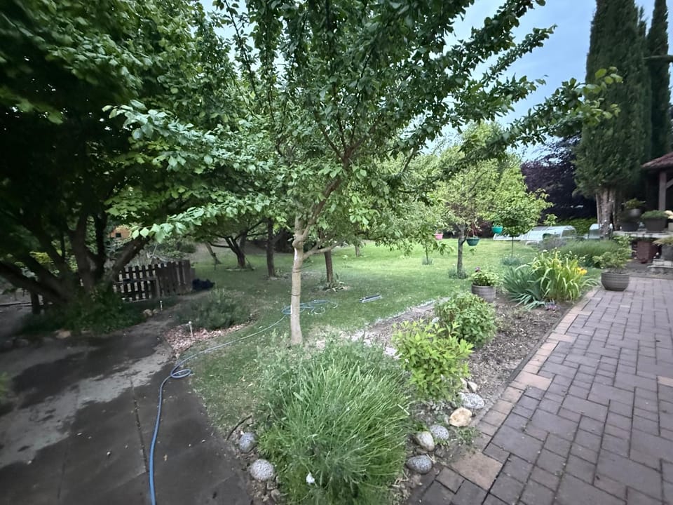Garden view
