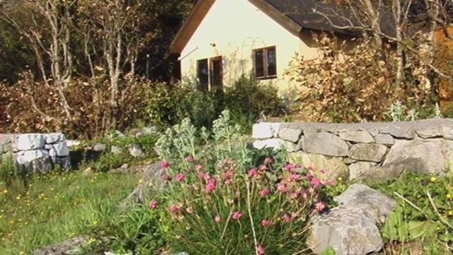 Seashore Cottage on Galway Bay Apartment in County Galway