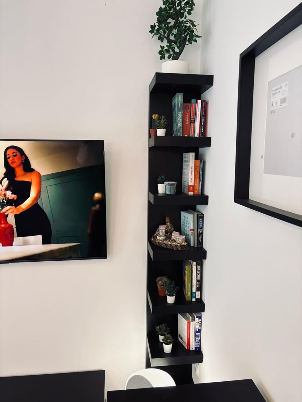 Library, TV and multimedia, Decorative detail, hair dresser