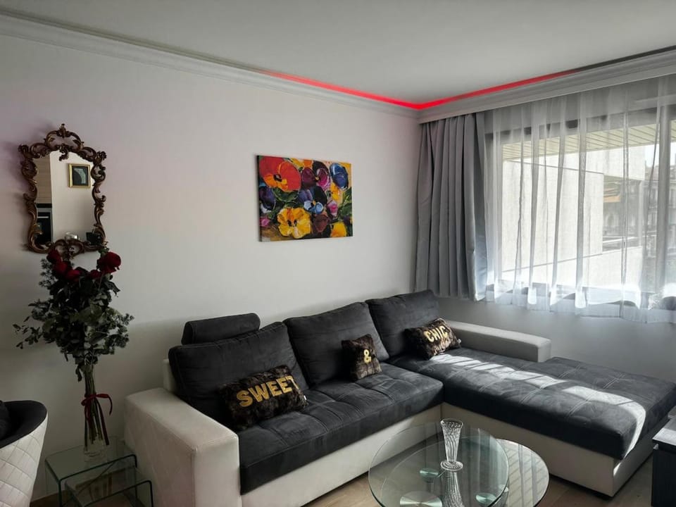 Gray D'albion Cannes centre , 1 min des plages Apartment in Cannes