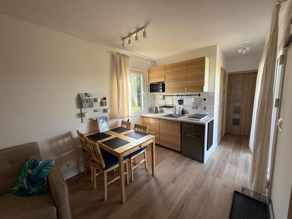 Kitchen or kitchenette, Dining area, stove