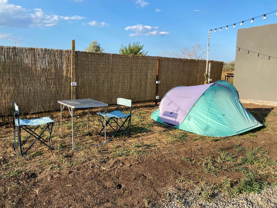 Day, Garden, Garden view