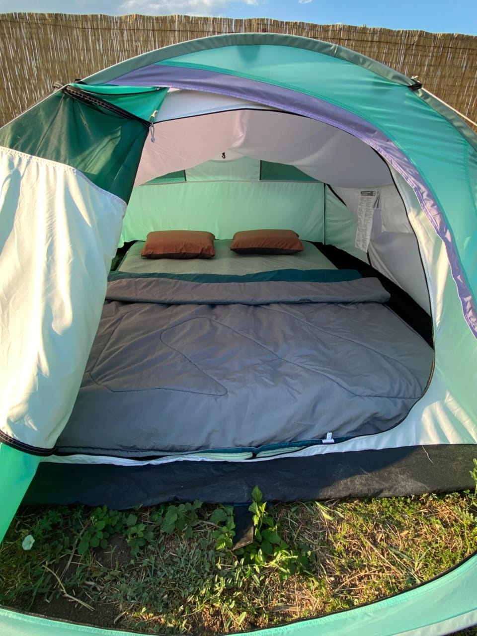 Bed