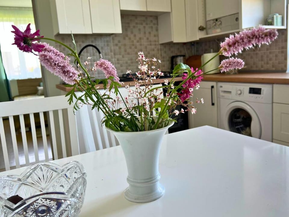 Short stay next to Palanga Apartment in Palanga