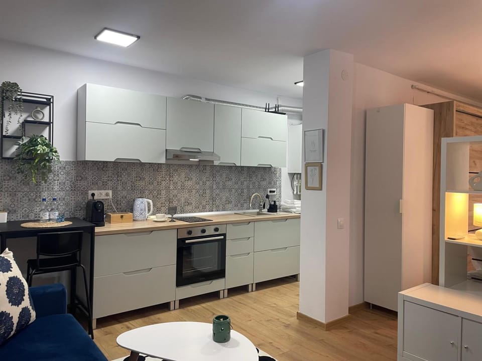 Kitchen or kitchenette, Dining area, oven, stove