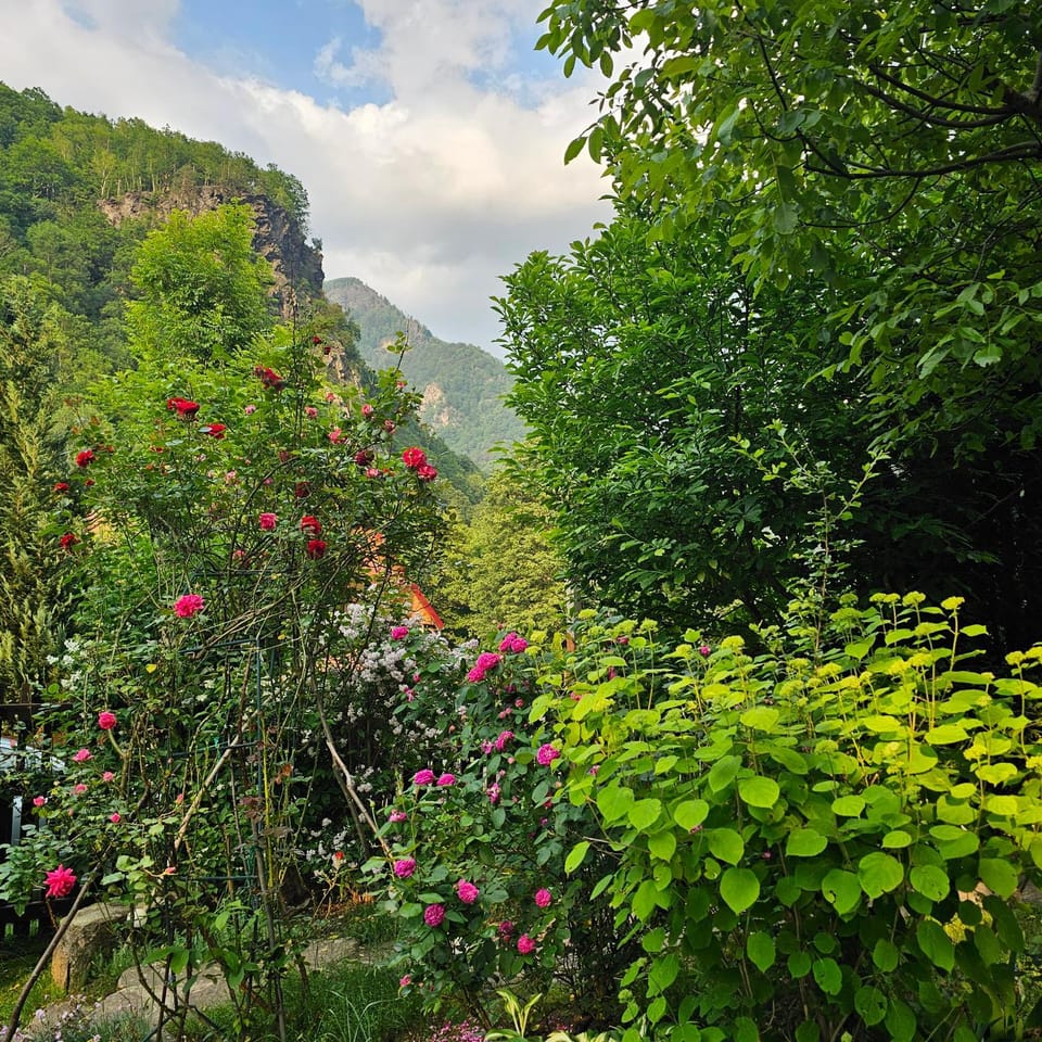 Magic Cottage From Paradise House in Serbia