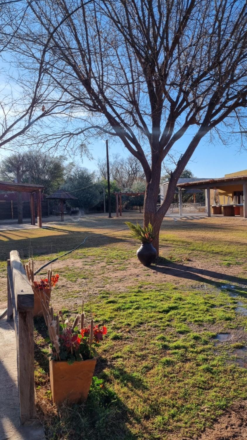 Finca la margarita Bed and Breakfast in La Rioja Province, Argentina