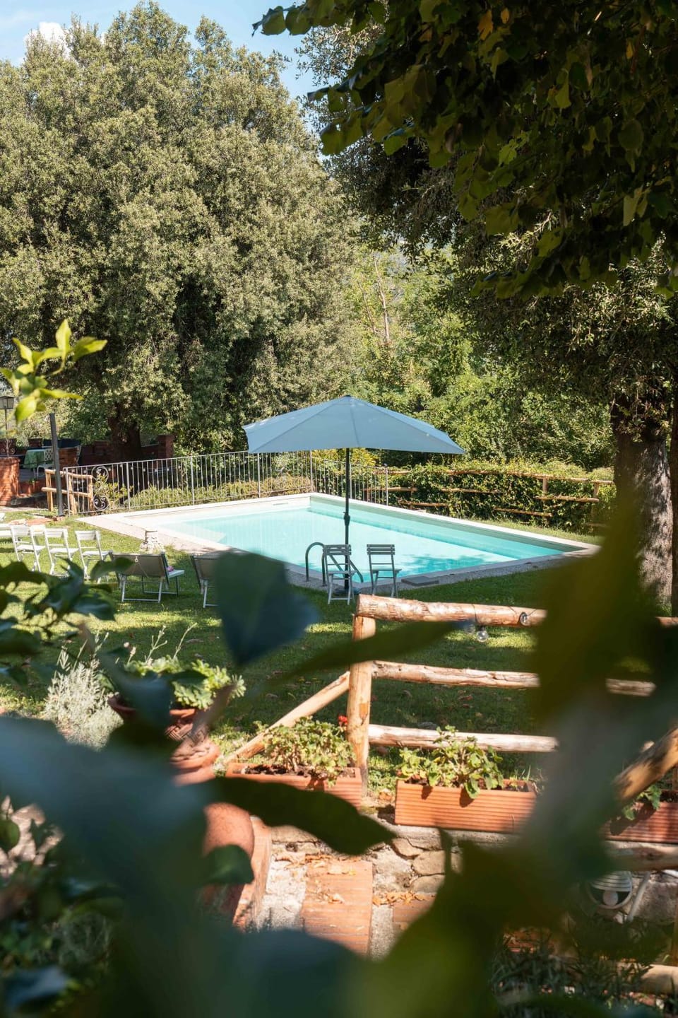 Day, Natural landscape, Garden, Garden view, Pool view, Swimming pool