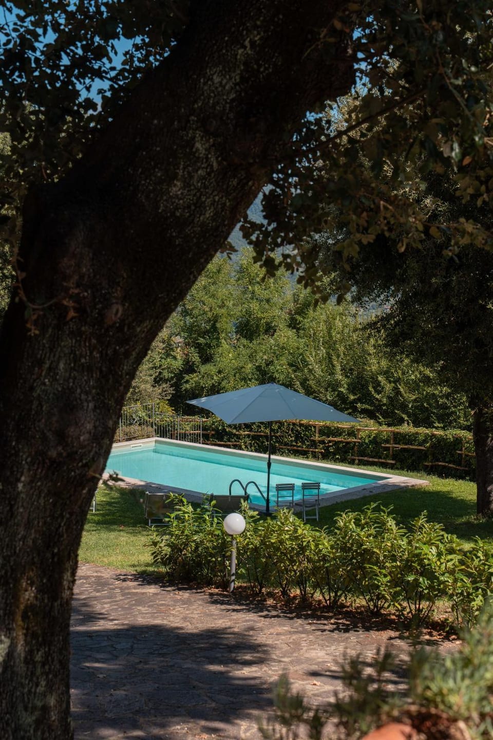 Day, Natural landscape, Garden, Garden view, Pool view, Swimming pool, sunbed