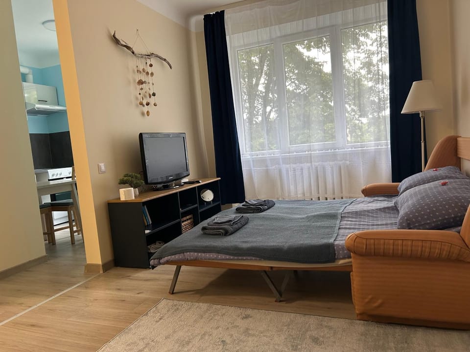 Bed, TV and multimedia, Living room