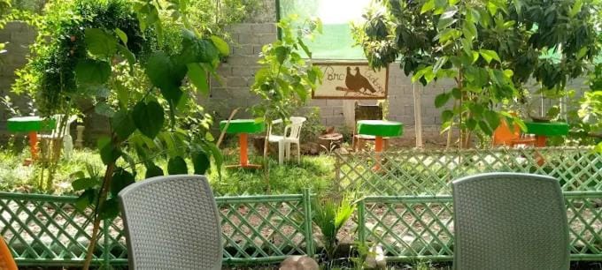 Spring, Day, Garden, Garden view