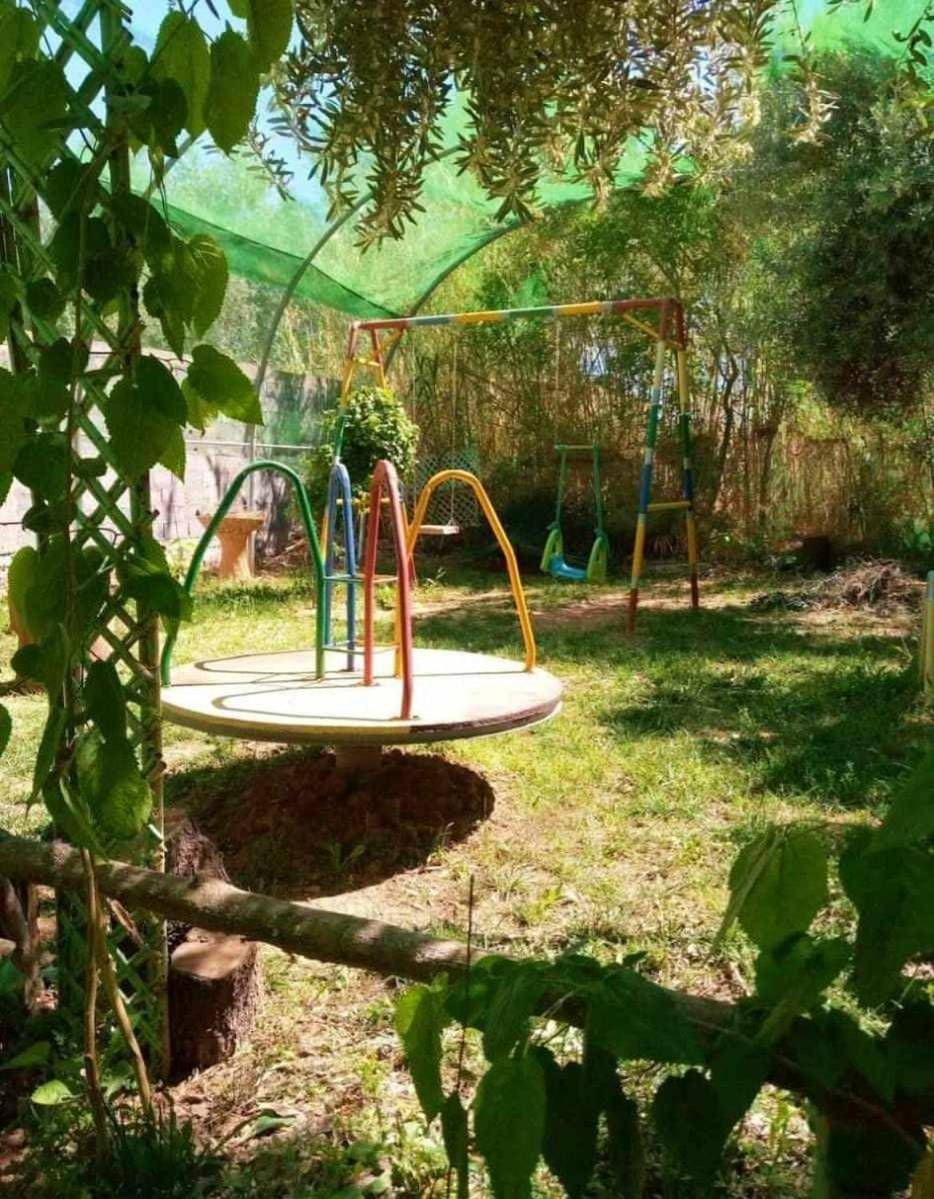 Spring, Day, Natural landscape, Children play ground, Garden, Garden view