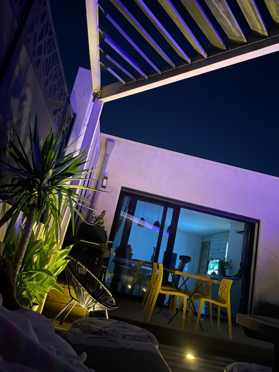 Patio, Garden, Balcony/Terrace
