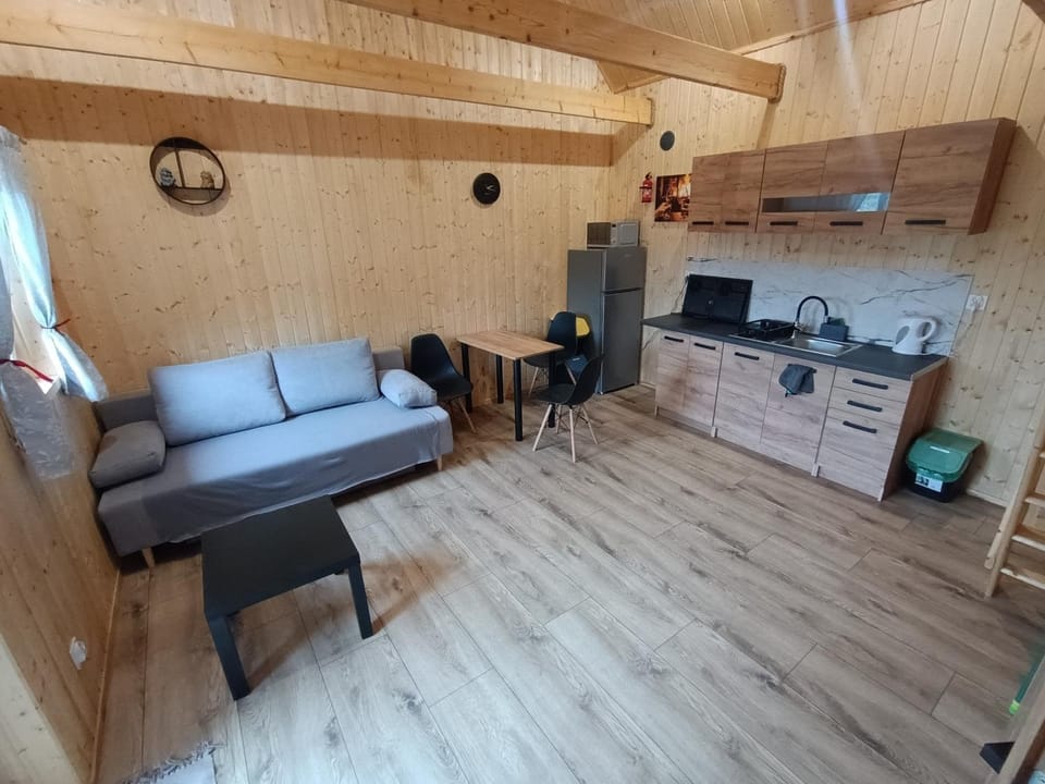 Kitchen or kitchenette, Living room, stove