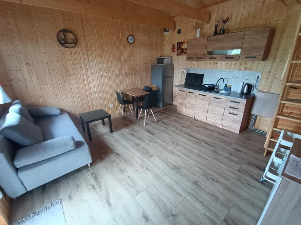 Kitchen or kitchenette, Living room, Dining area, stove