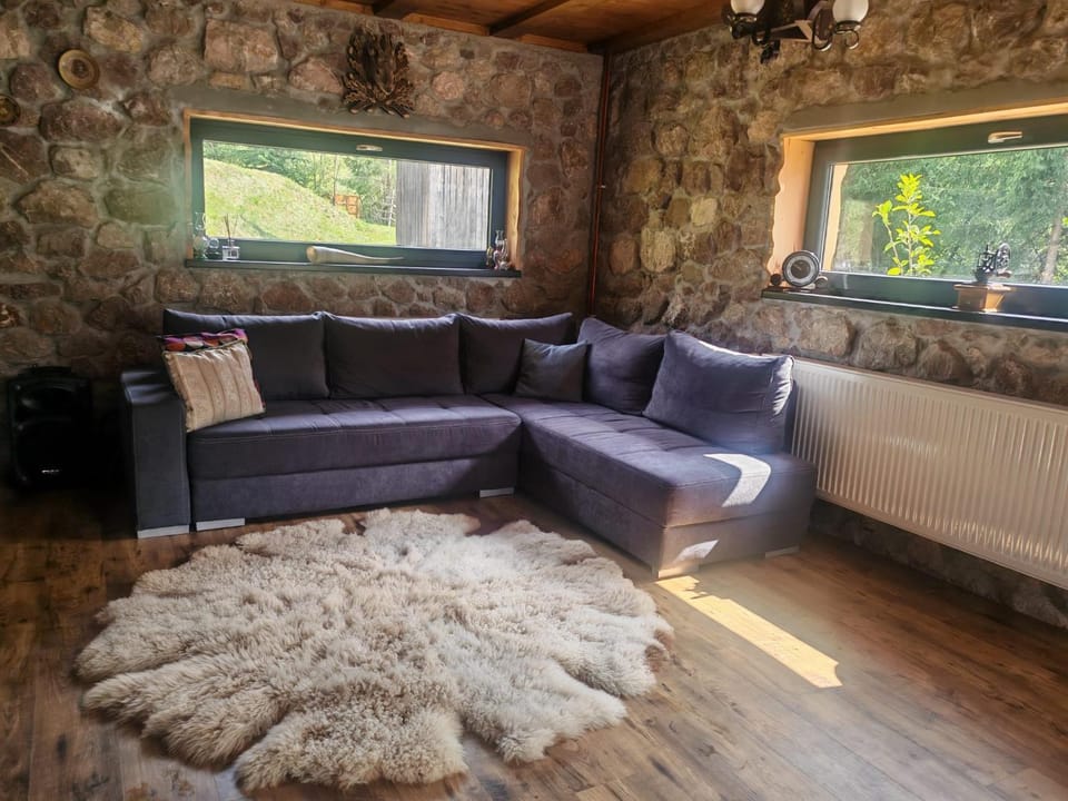 Ryan's Cabin Cabin in Romania