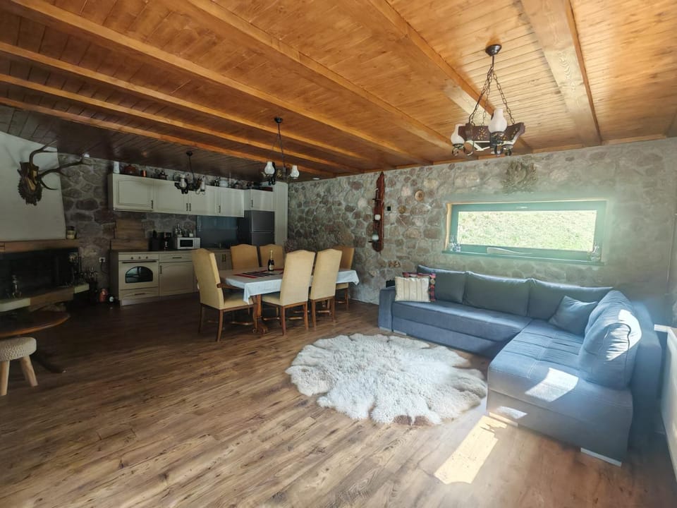 Ryan's Cabin Cabin in Romania