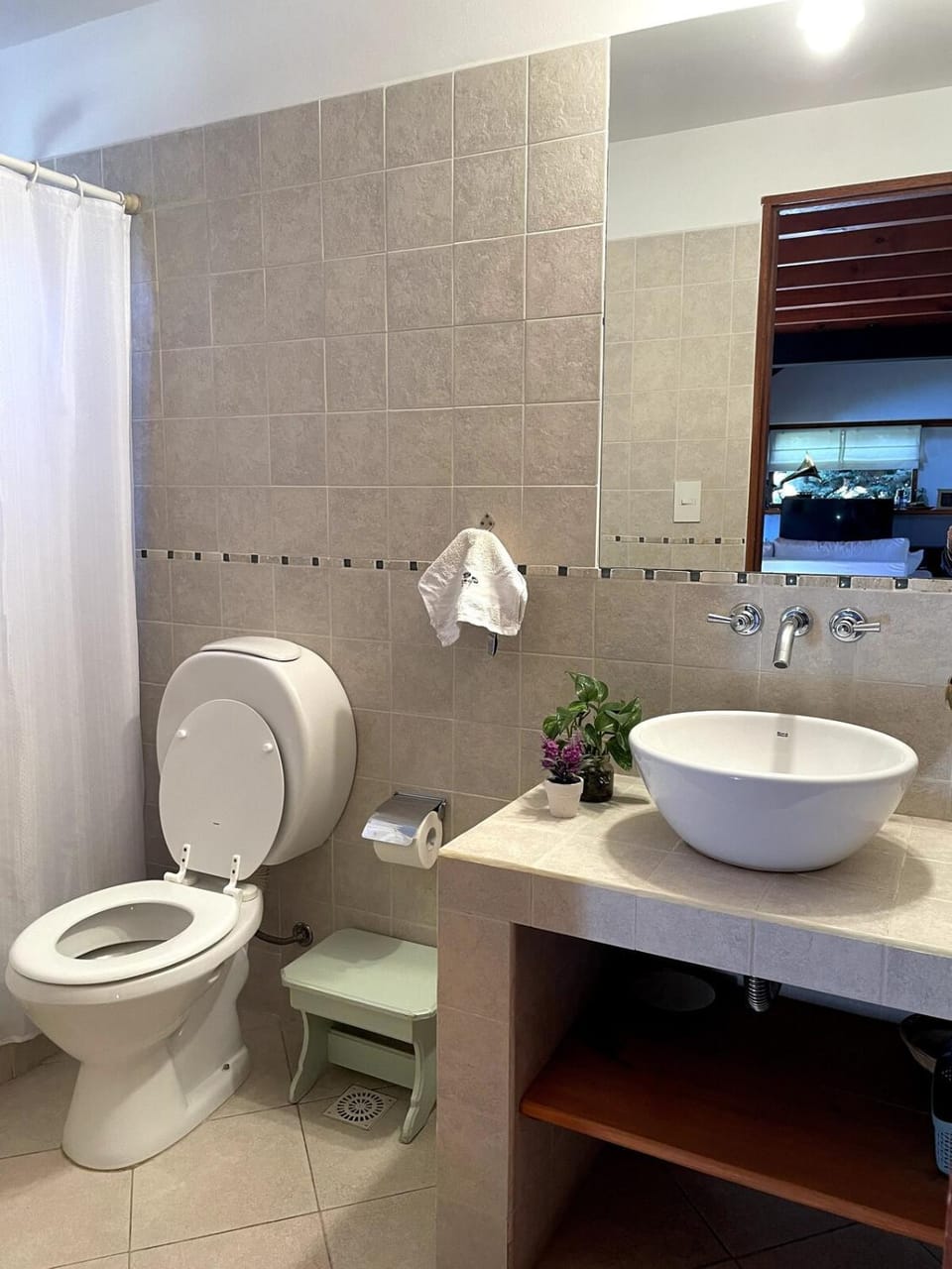 Toilet, Bathroom, towels