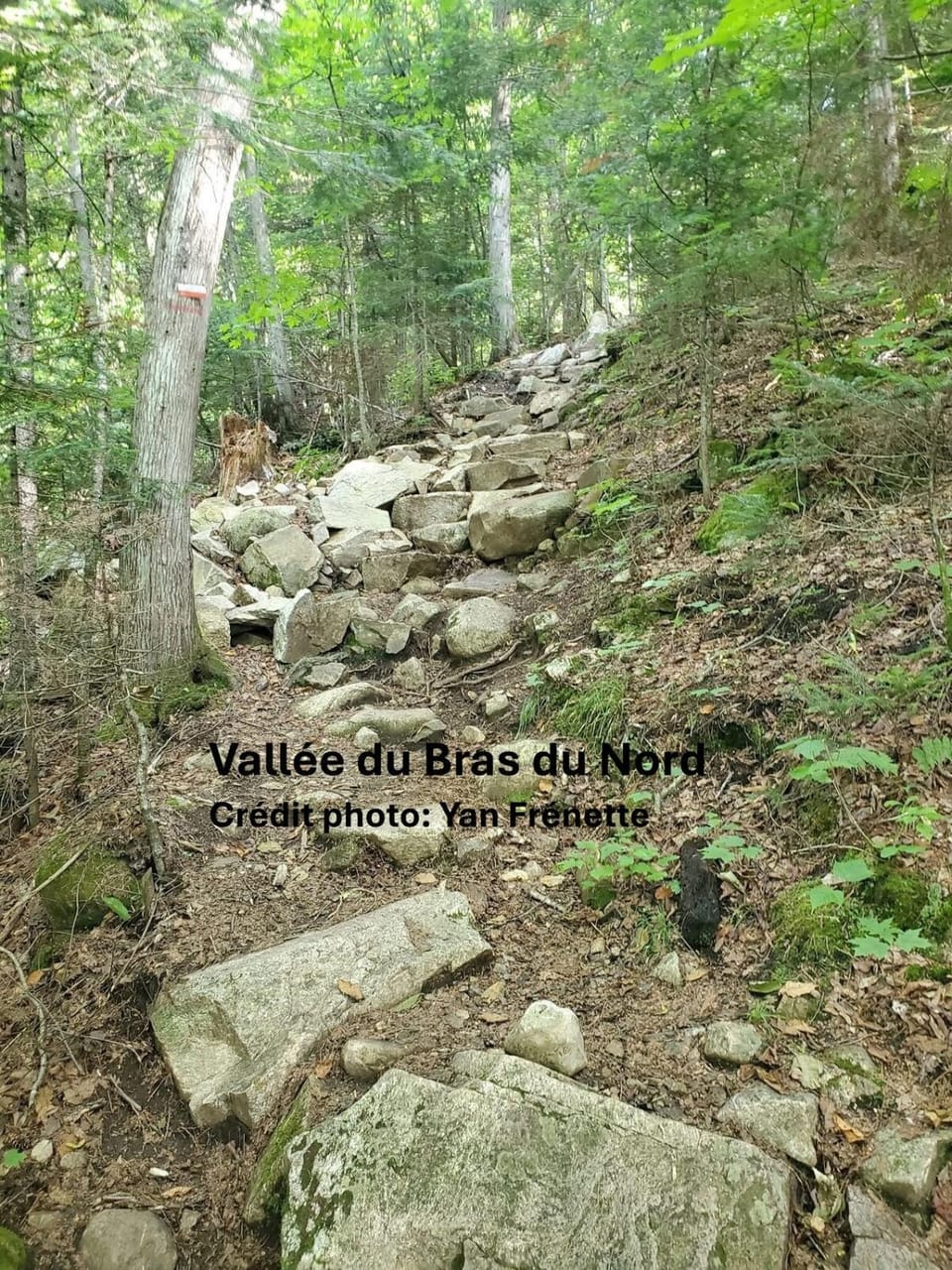 Nearby landmark, Natural landscape