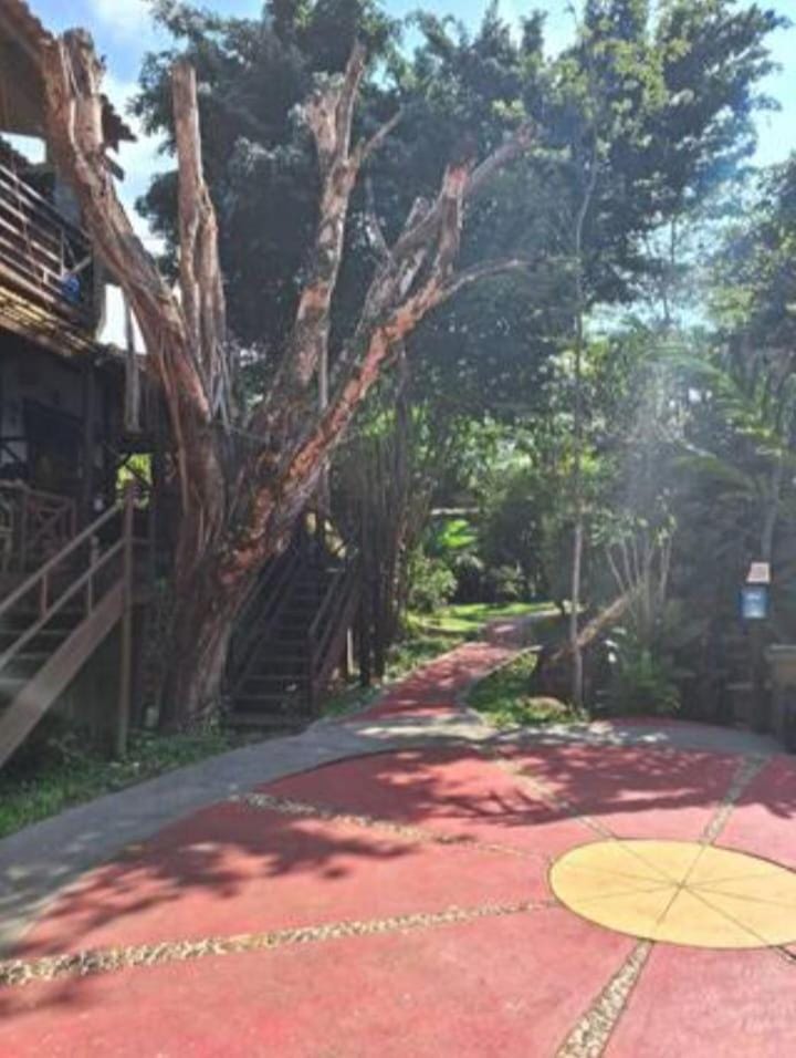 House in IlhaBela - Condominium with Swimming Pool House in Ilhabela