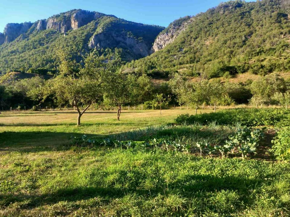 Kamp kucice Campground/ 
RV Resort in Montenegro