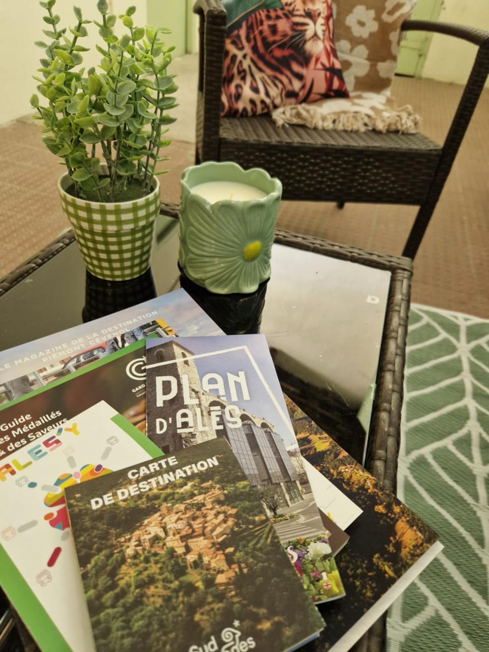 COS'ALES - Beaux T3 avec grandes terrasses centre Alès Apartment in Alès