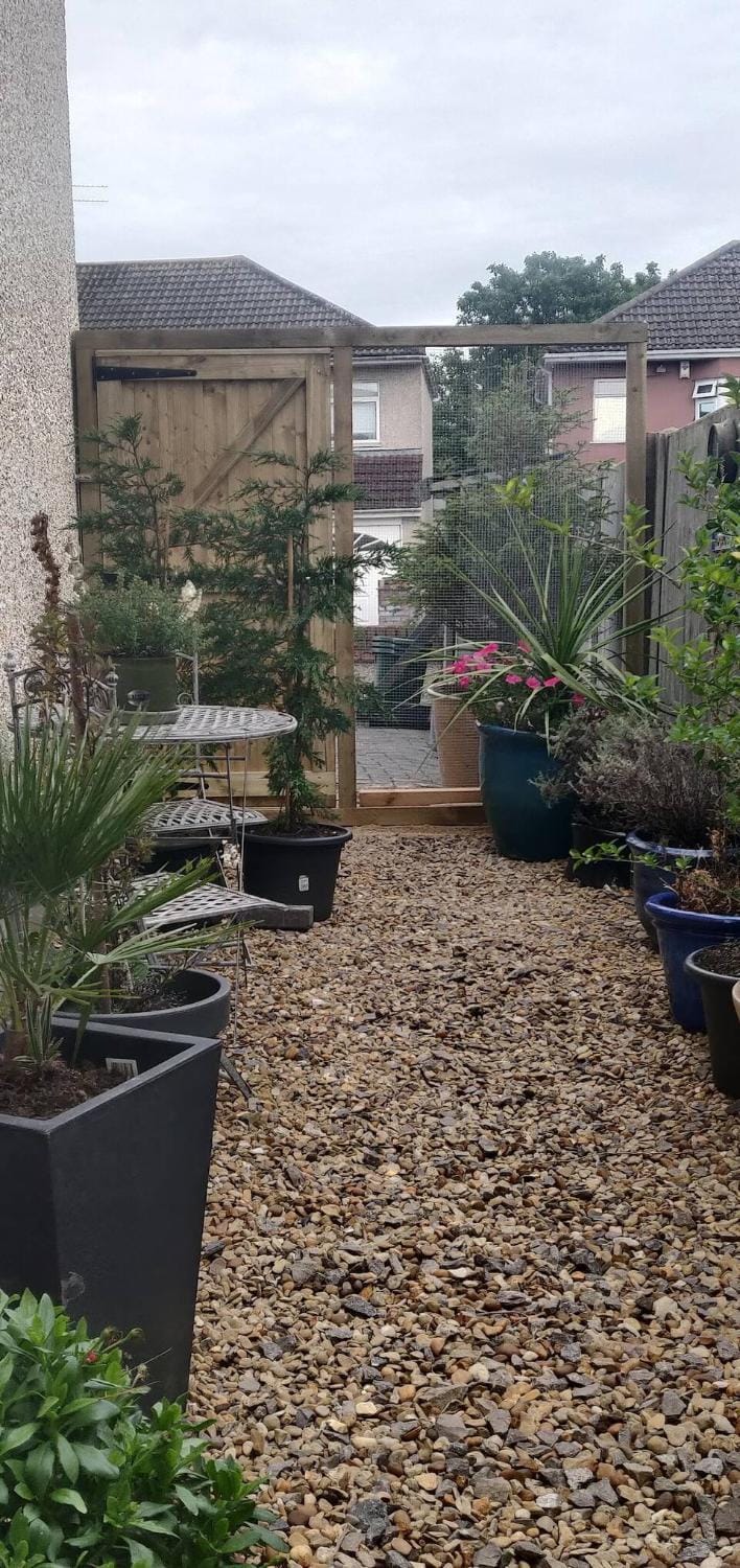 Garden view