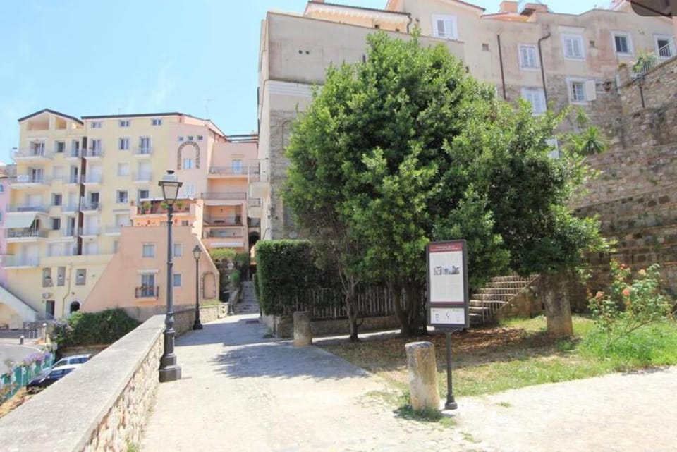 Property building, Spring, Day, Neighbourhood, Natural landscape, Street view, Location