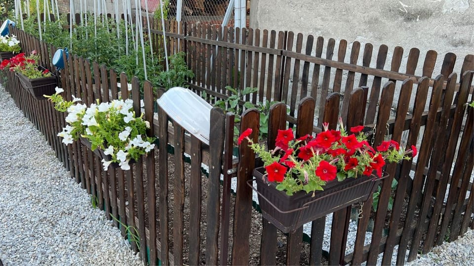Garden, Garden