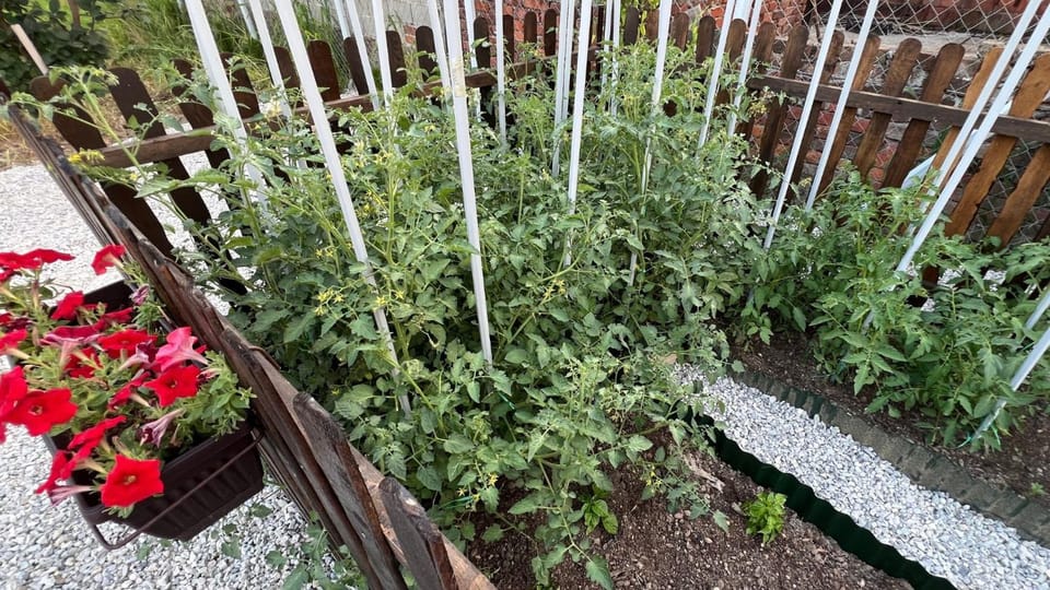 Garden, Garden