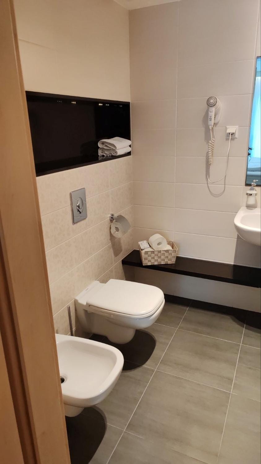 Toilet, Bathroom, bidet
