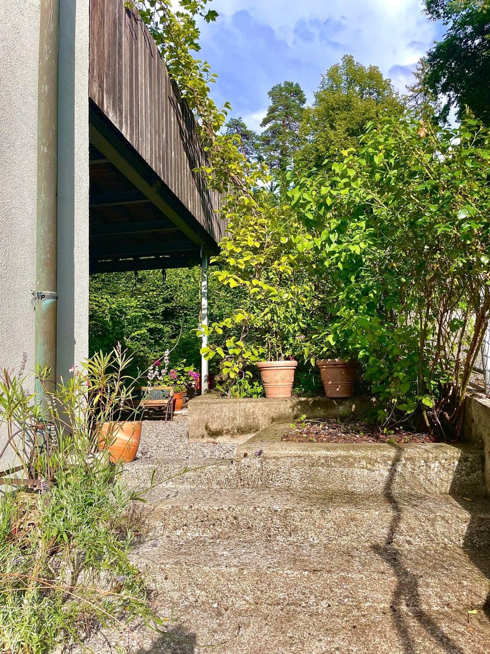 Spring, Garden, Garden view