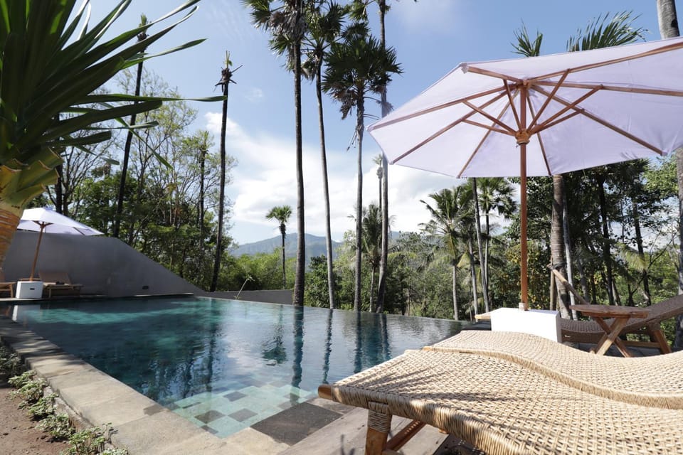 Patio, Day, Natural landscape, Garden, Garden view, Pool view, Swimming pool, sunbed