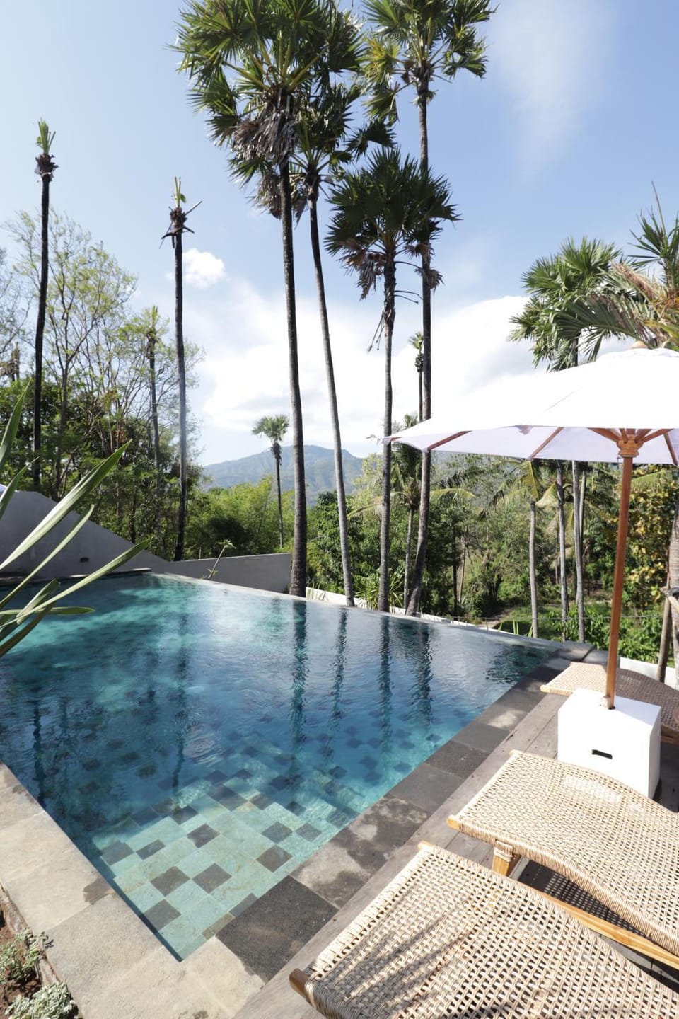 Patio, Spring, Day, Natural landscape, Garden, Garden view, Pool view, Swimming pool, sunbed