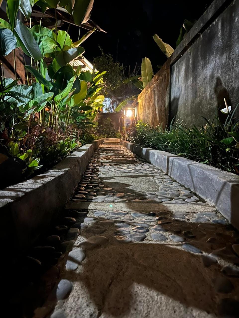 Raja House House in Payangan