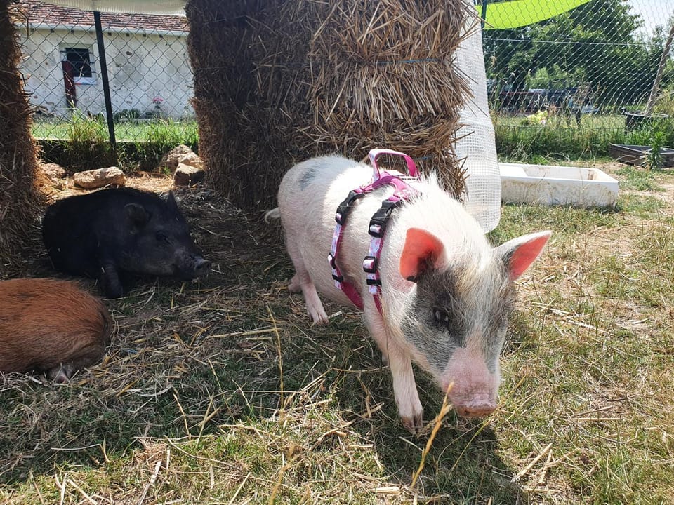 Gîte à la ferme Apartment in Île-de-France