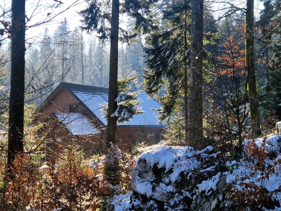 Natural landscape