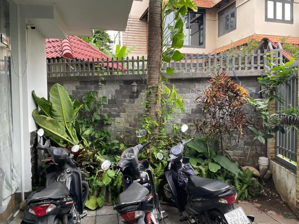 Day, Garden, Parking