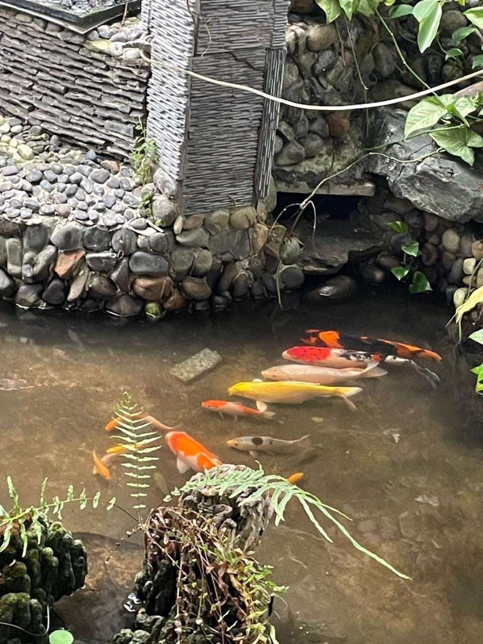 Day, Garden