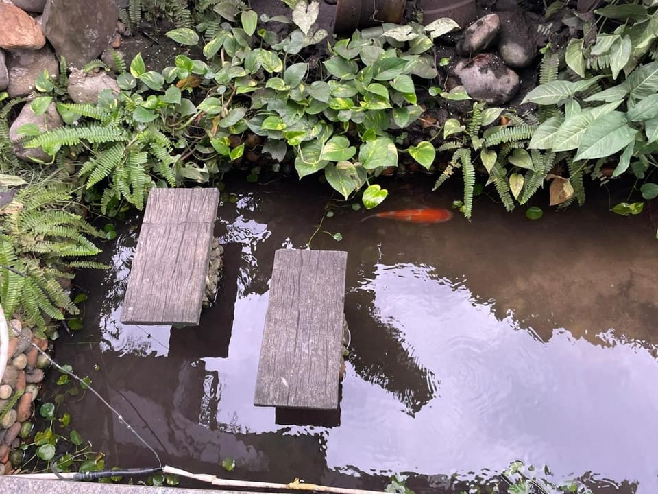 Garden, Garden, Lake view