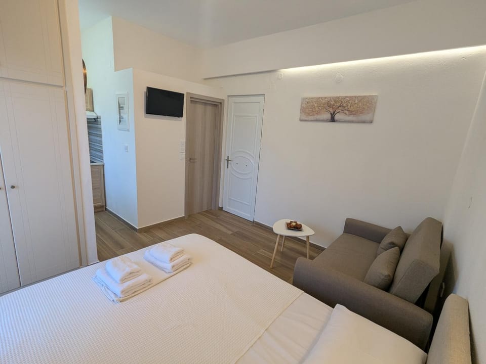 Bed, TV and multimedia, Living room, Photo of the whole room, Seating area, wardrobe