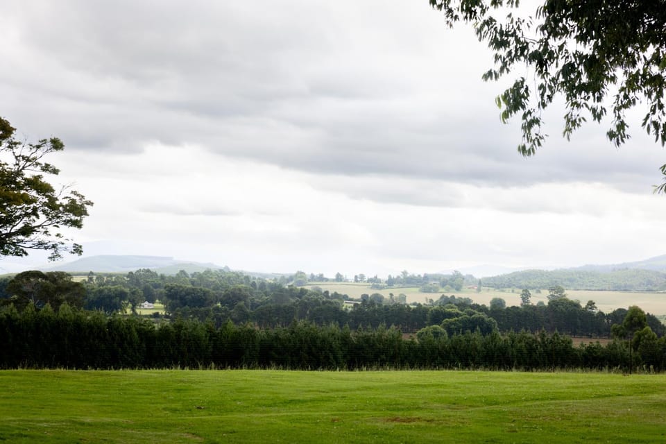 Natural landscape