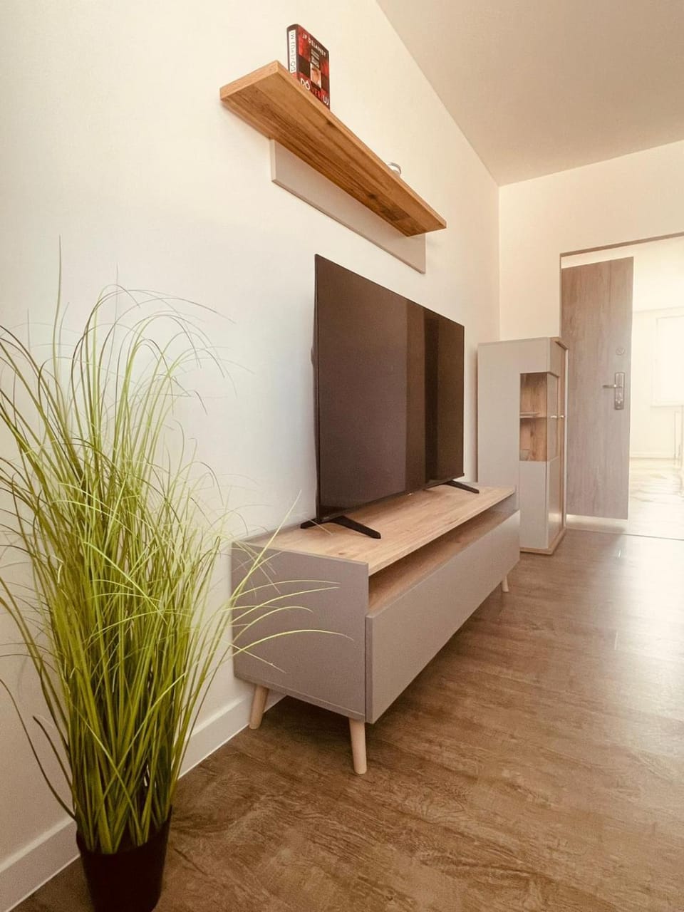 TV and multimedia