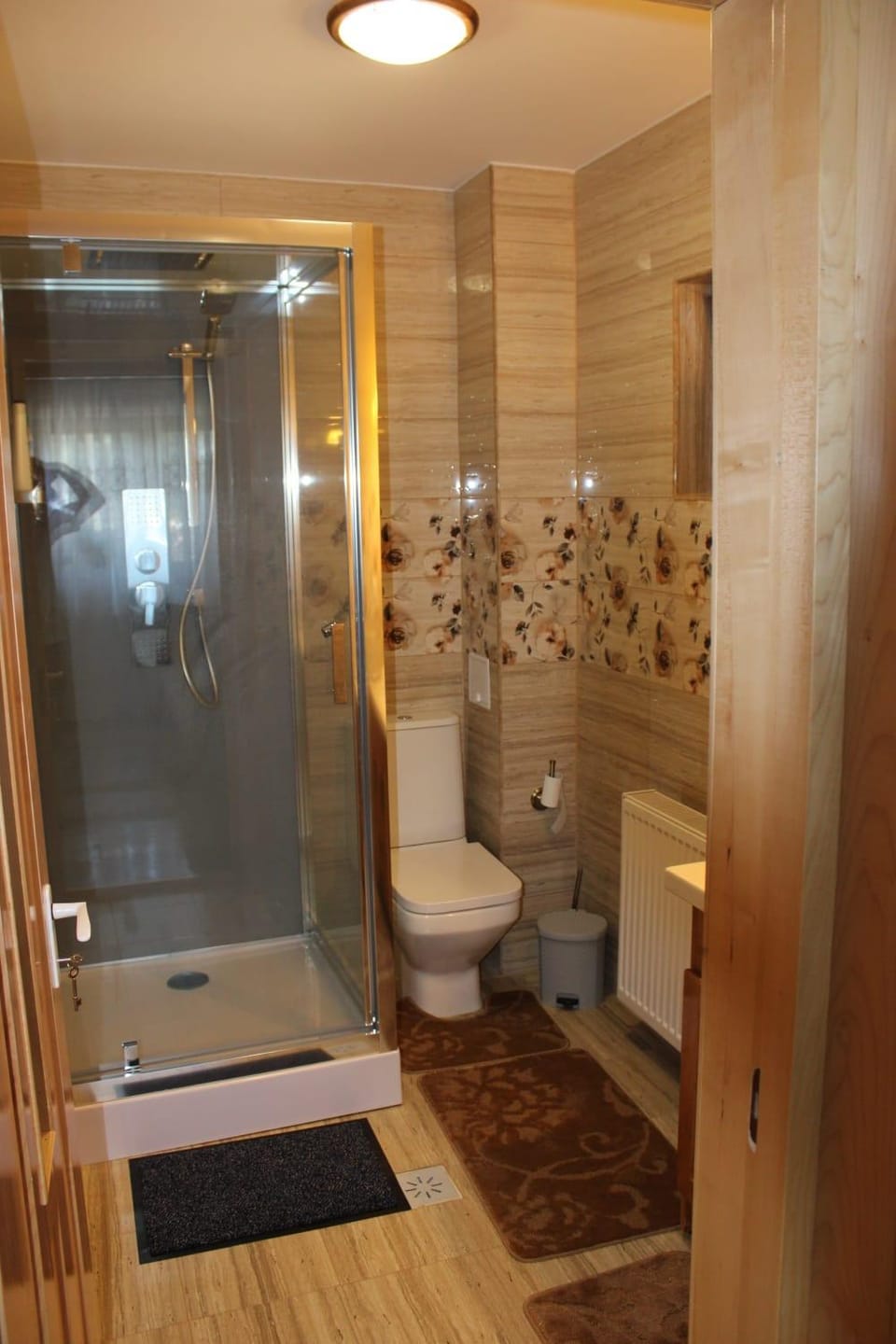 Shower, Toilet