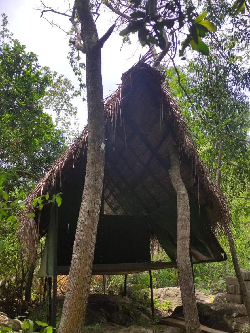 Sigiriya Eco Lodge & Accommodation - Sigiriya CES Field Base Nature lodge in Dambulla