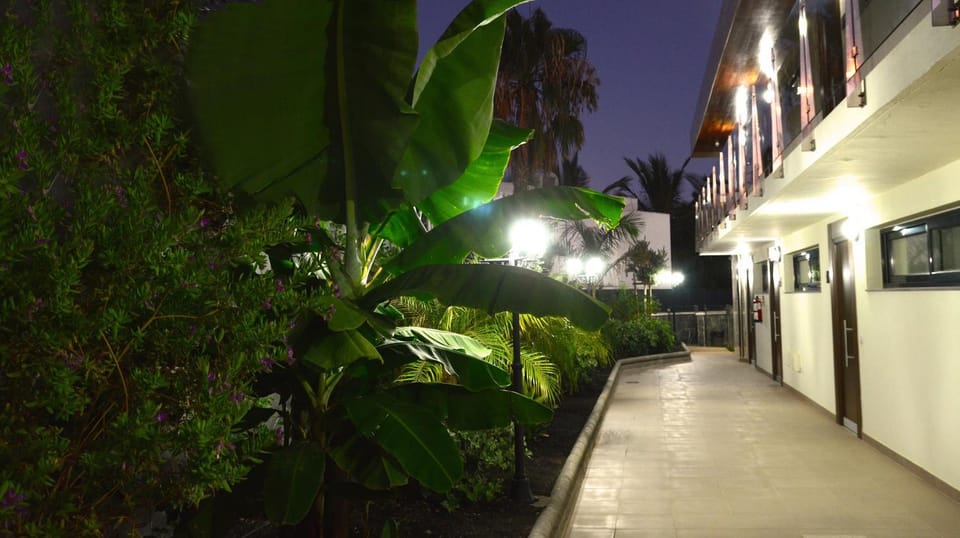 Property building, Facade/entrance, Night